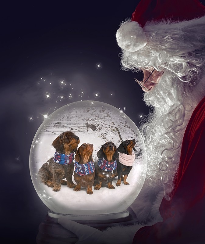 SantaGlobe - Christmas