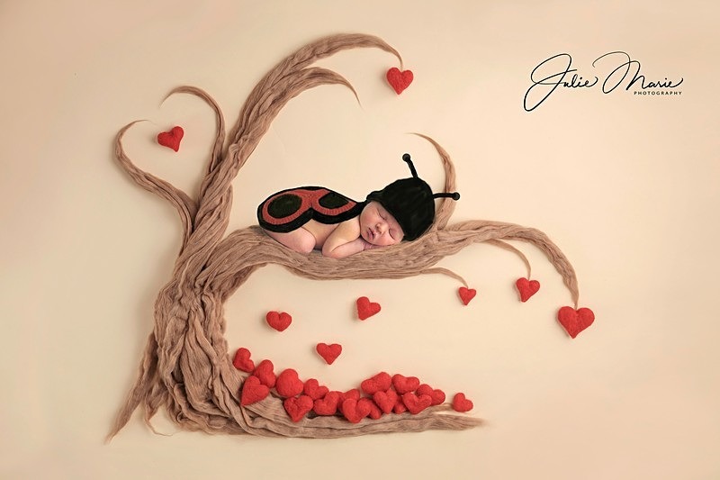 ladybug - Newborn Babies