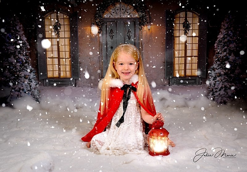 winter house lantern - Christmas
