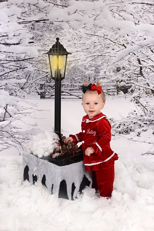 snow scene - Christmas