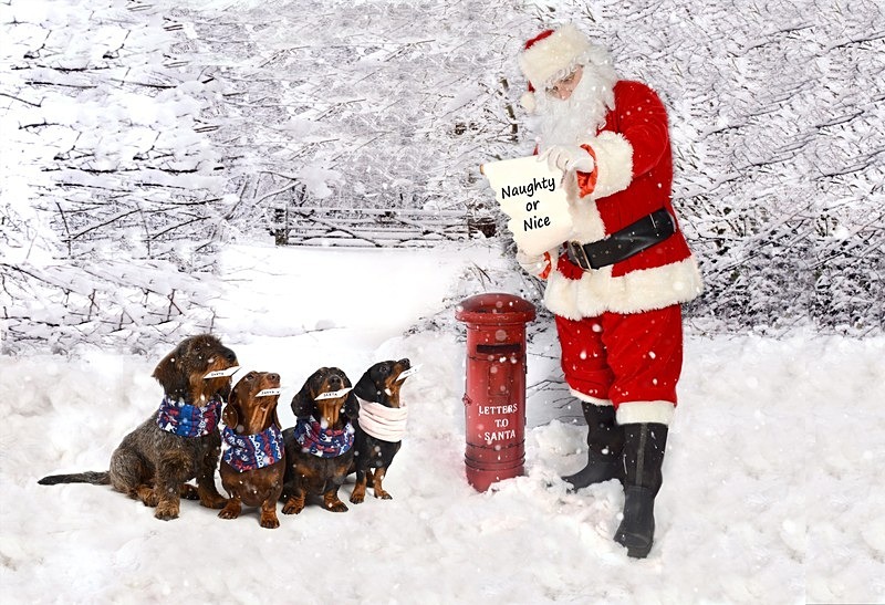 snow scene - Christmas