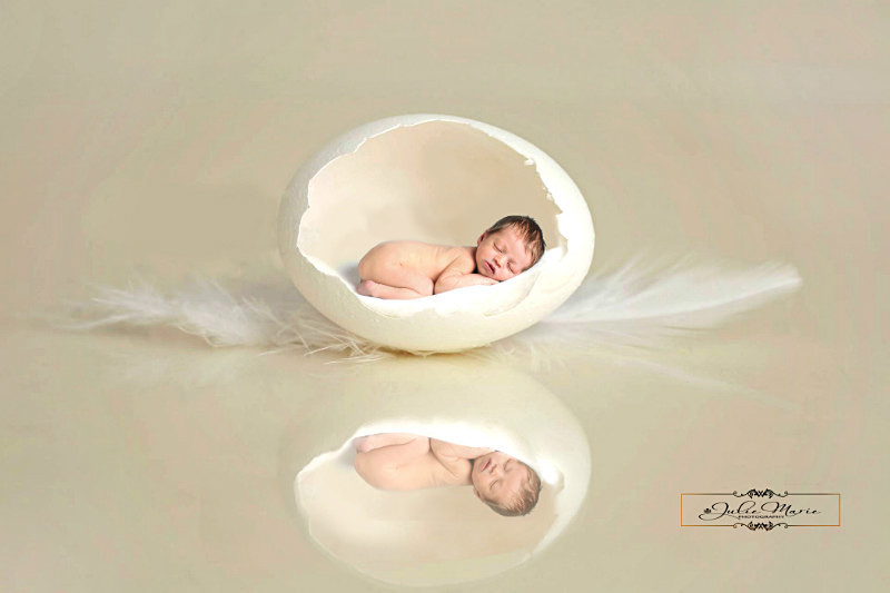 Egg - Newborn Babies
