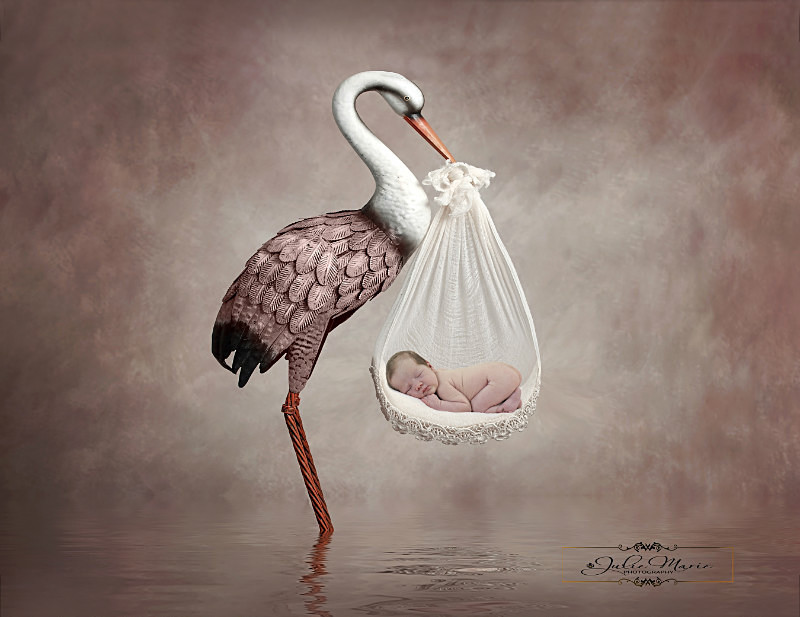 Stork girl - Newborn Babies