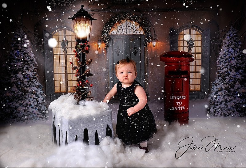 winter house - Christmas