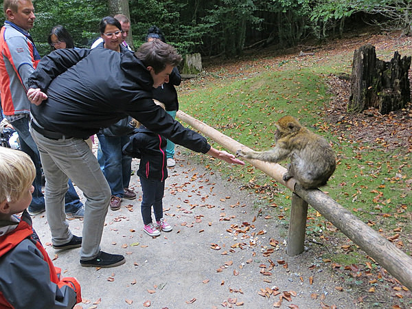 Jon feeding a monkey - Our Travels