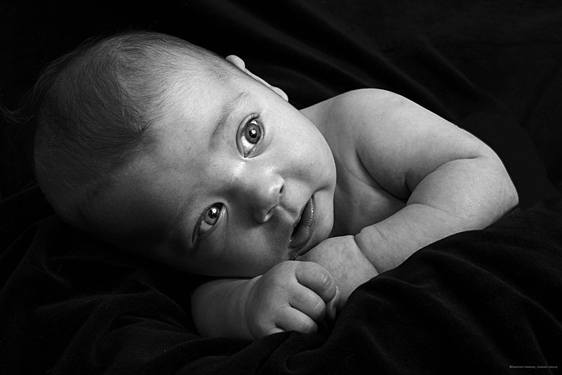 Carol's new baby - Studio style Portrait photography.
