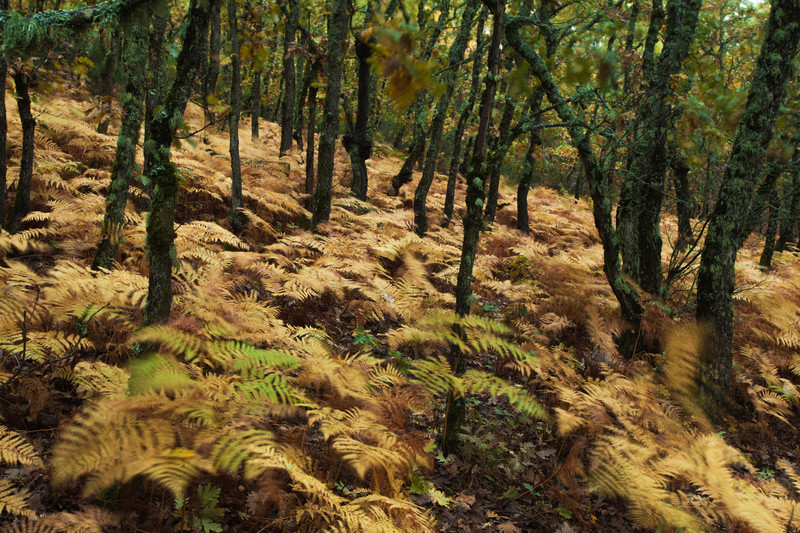Fine art landscape photography taken from the stunning location of Extremadura, Spain.