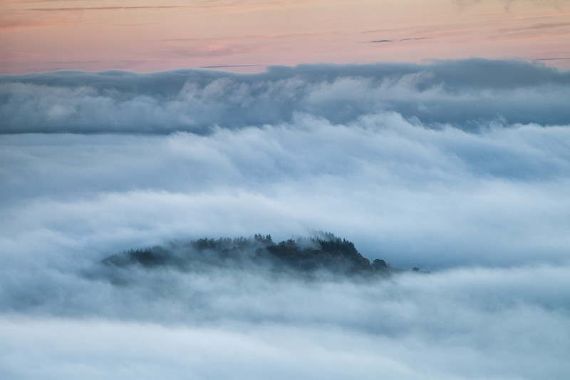 The Island - New Work