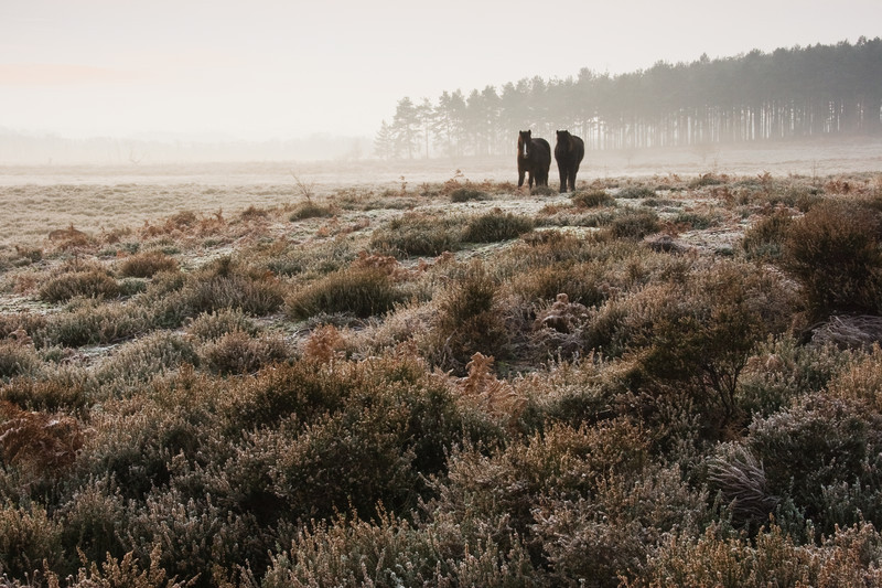 Landscape photography taken in the UK by photographer Lewis Phillips