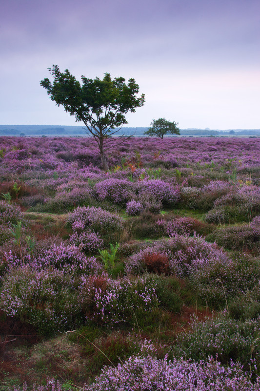Landscape photography taken in the UK by photographer Lewis Phillips