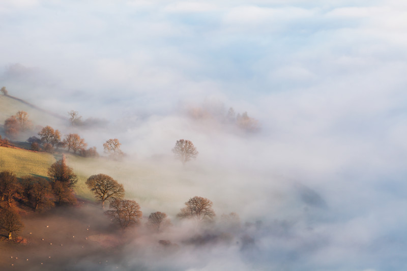 Usk Valley Mist