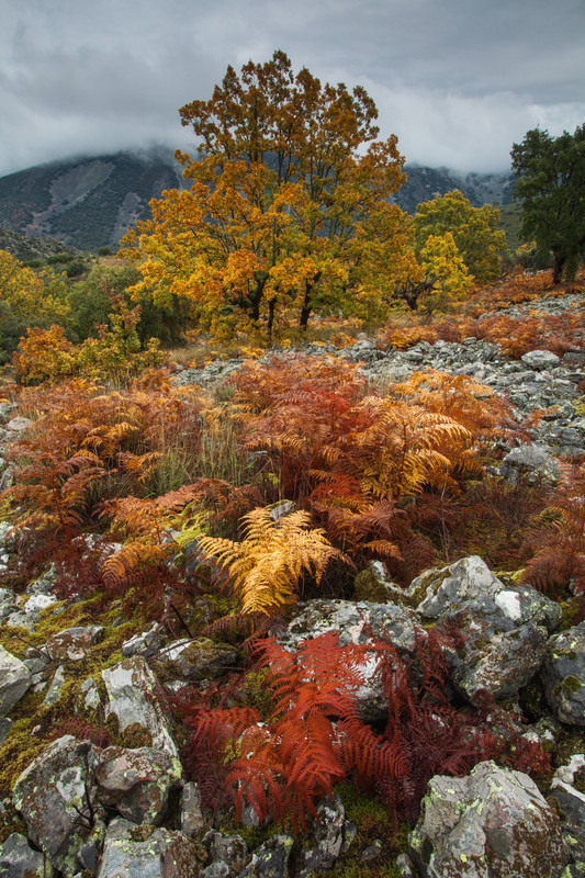 Landscape photography taken in the UK by photographer Lewis Phillips
