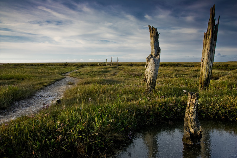 Landscape photography taken in the UK by photographer Lewis Phillips