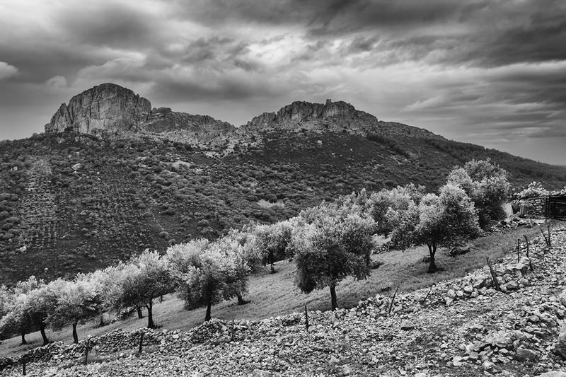 Castelle Extremadura. - New Work
