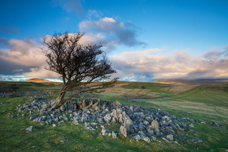 Solitude in the Brecon Beacons.