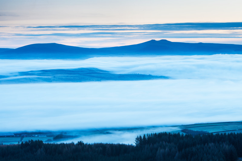 The Spring Dawn.