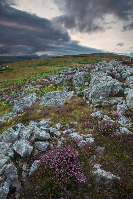 Landscape photography taken in the UK by photographer Lewis Phillips
