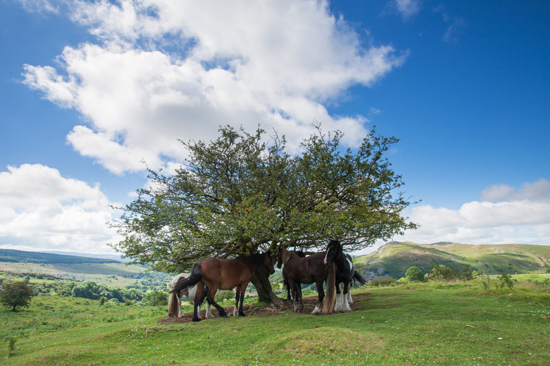 The Swansea Valley.