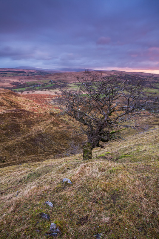 Landscape photography taken in the UK by photographer Lewis Phillips
