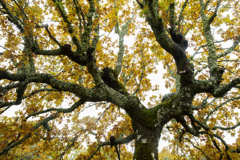 Fine art landscape photography taken from the stunning location of Extremadura, Spain.