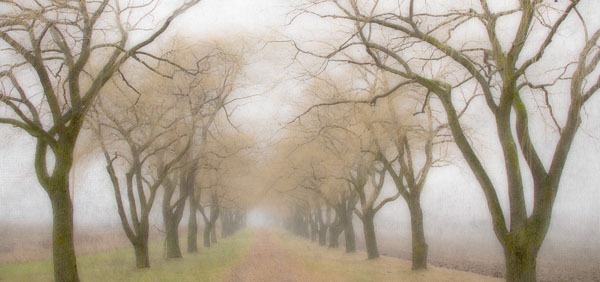 P598 - SEASONS