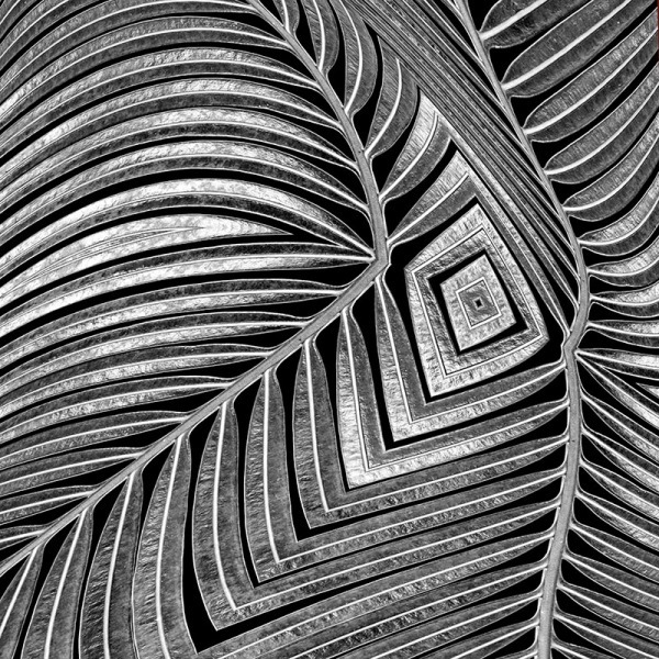 M067 - creative expressions