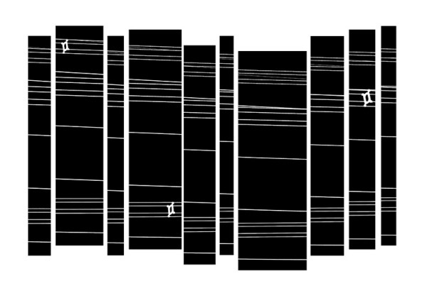 CD435 slices - creative expressions