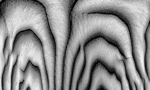 CD203 - creative expressions