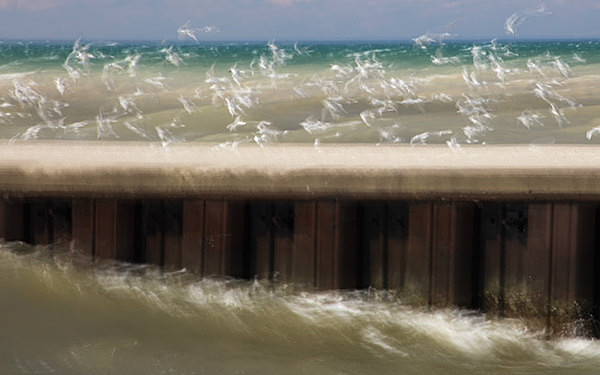 theme 6 week 2: INTENTIONAL CAMERA MOVEMENT - 2016: 12 Months 12 themes