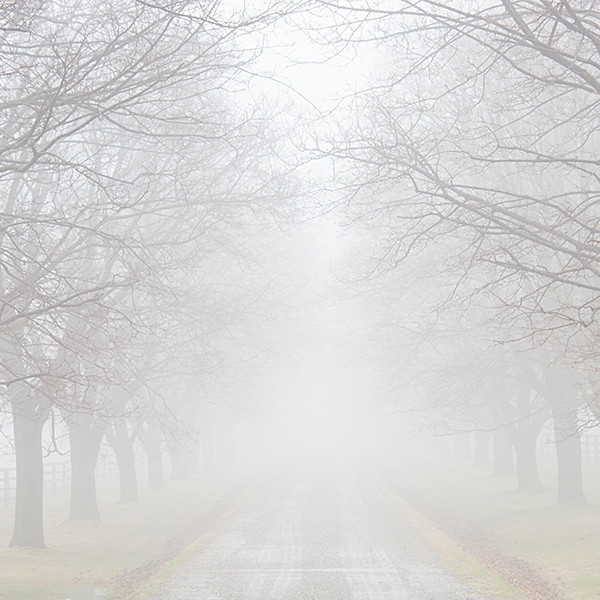 theme 5 week 1: WHISPERS - 2015 12 Months: 12 Themes