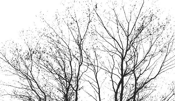 week 46 - 52 week project: Familiar things