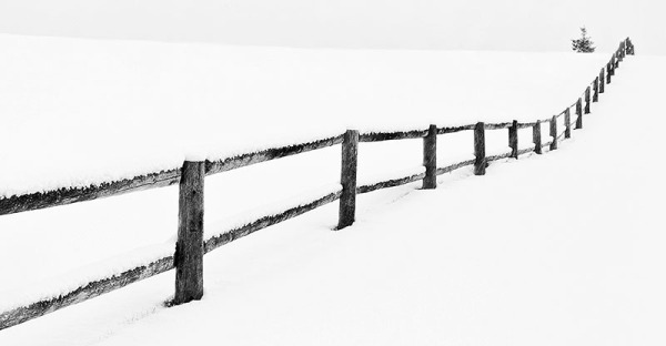 P388 - structures