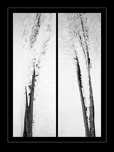 week 6 - 52 Weeks Project: Synthesis