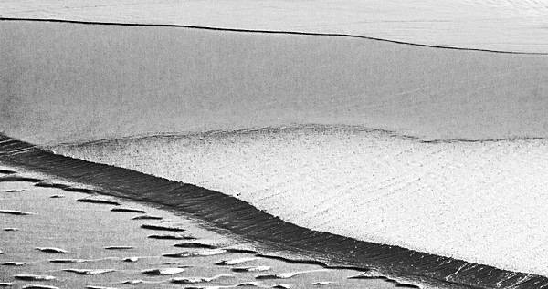 AD809 - ABSTRACTS IN NATURE