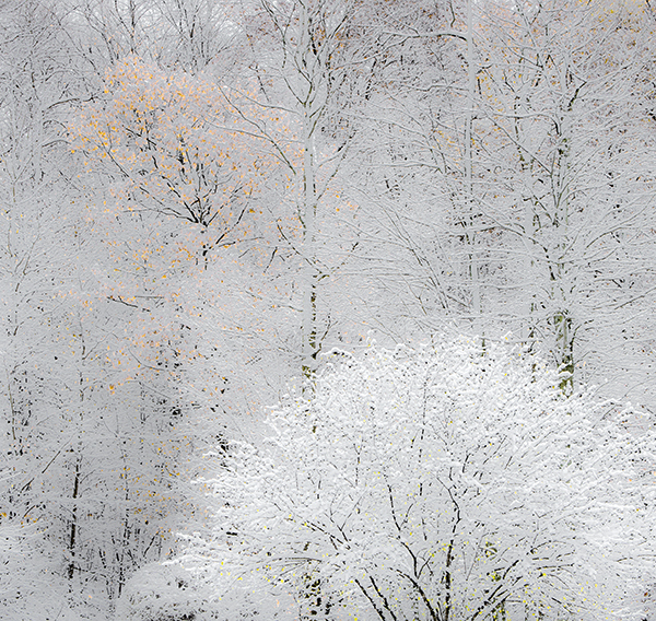 IM1211 - SEASONS
