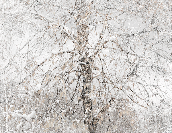 IM1205a - SEASONS