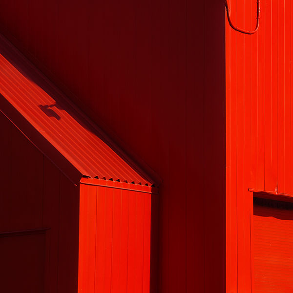 week 49: mostly one colour - 52 week project: Colour