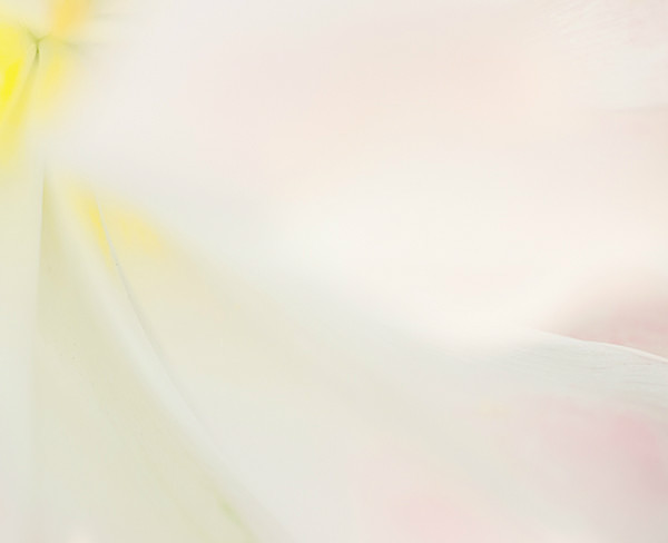theme 12 week 1: MACRO - 2016: 12 Months 12 themes