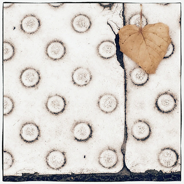 theme 12 week 3: IPHONEOGRAPHY - 2015 12 Months: 12 Themes