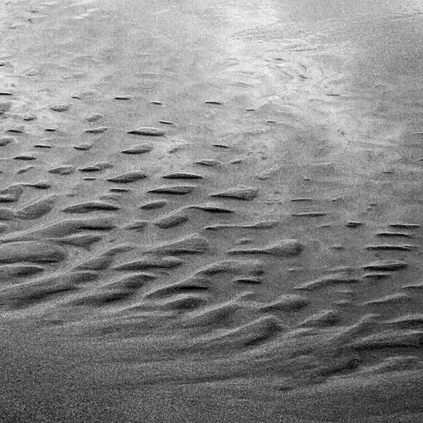 AD808 - ABSTRACTS IN NATURE
