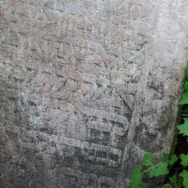 AD1176 - THIS AND THAT