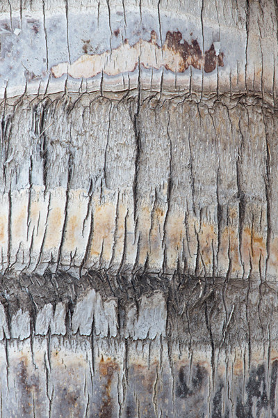AD856 - ABSTRACTS IN NATURE