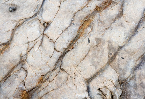 AD291 - ABSTRACTS IN NATURE