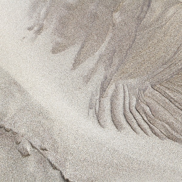 AD819 - ABSTRACTS IN NATURE