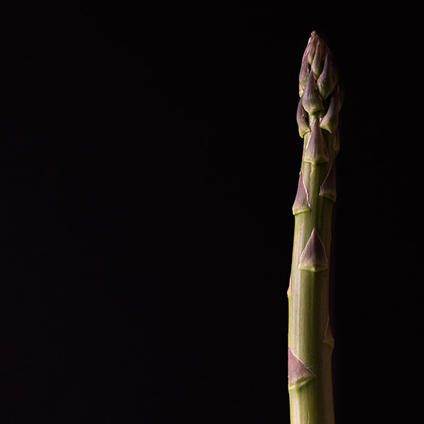 theme 7 week 3: FOOD - 2015 12 Months: 12 Themes