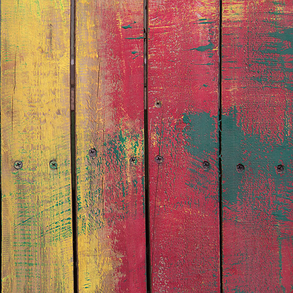 week 33: Lively colour - 52 week project: Colour
