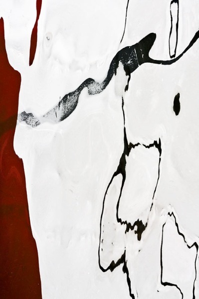 AD497 - REFLECTIONS & SHADOWS