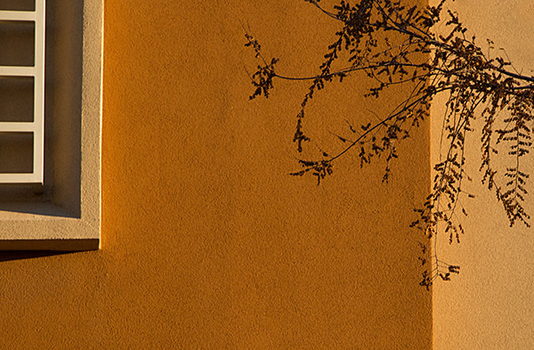 week 10: mostly one colour - 52 week project: Colour