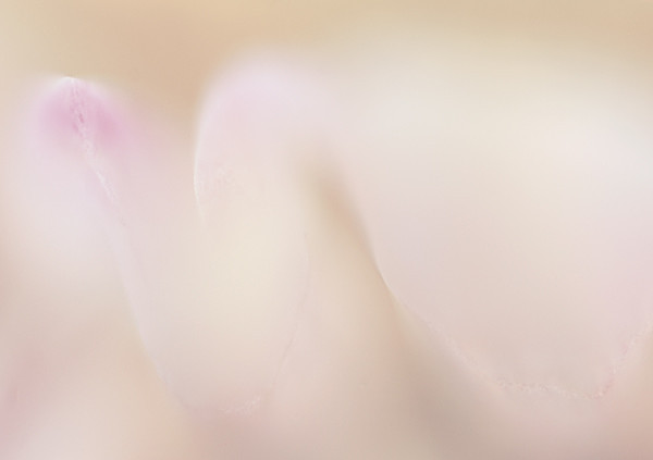 theme 5 week 4: WHISPERS - 2015 12 Months: 12 Themes