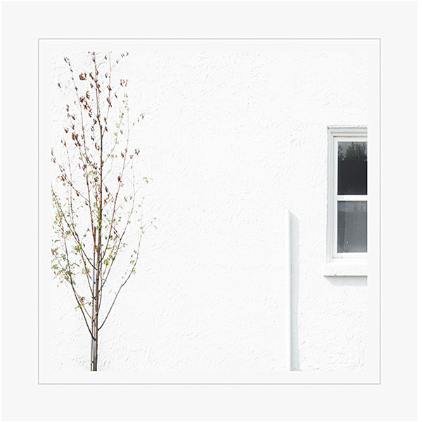 theme 8 week 4: HIGH KEY - 2016: 12 Months 12 themes